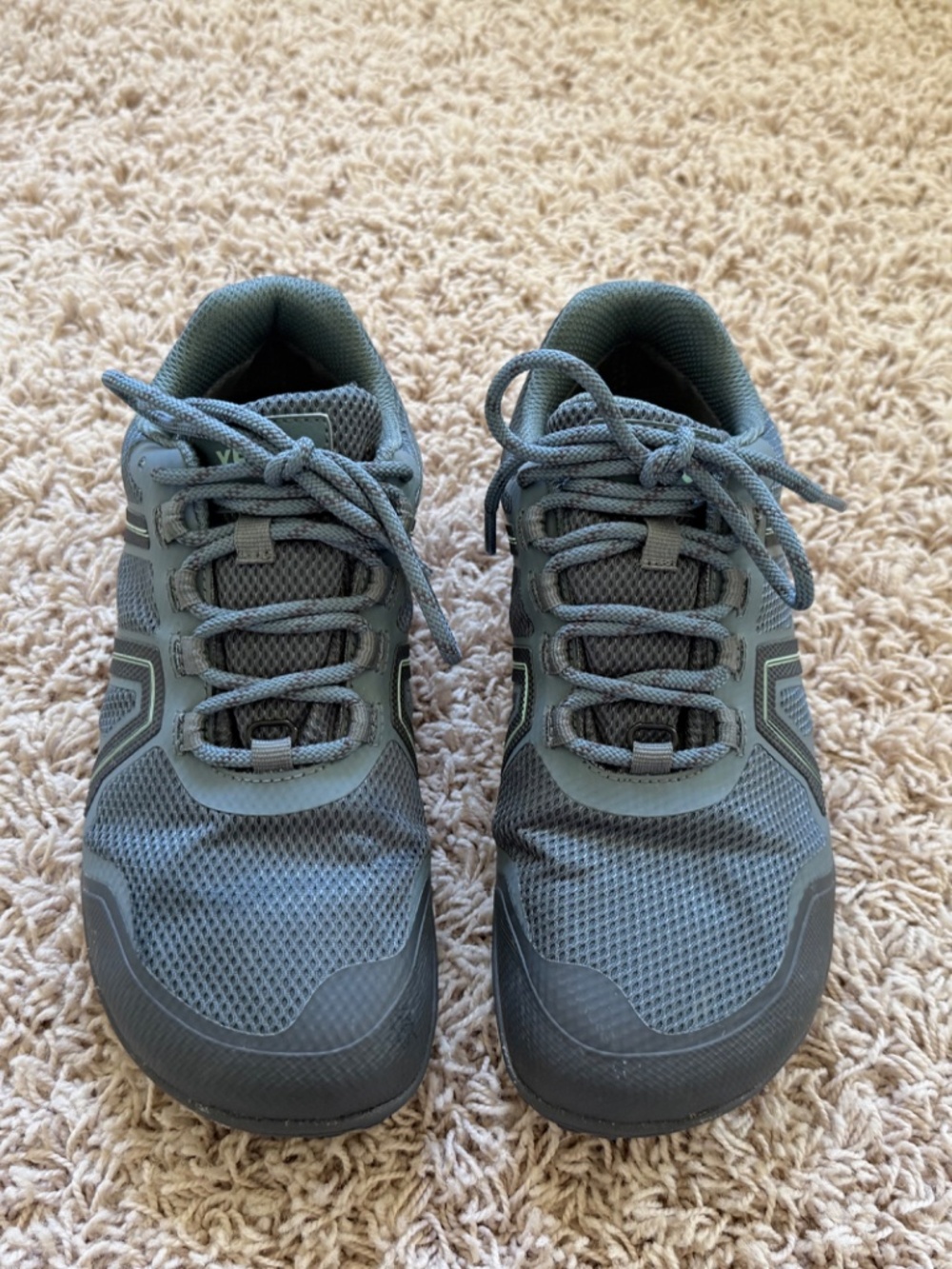 Mesa Trail Waterproof Shoe - Women's - Color: Pacific - Size: 8
